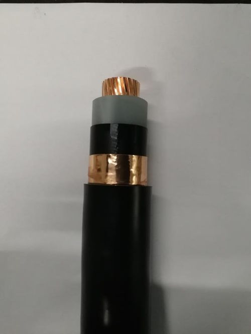探尋重慶電線電纜產(chǎn)業(yè) 南洋電纜與天津品牌的視覺與技術(shù)對(duì)話